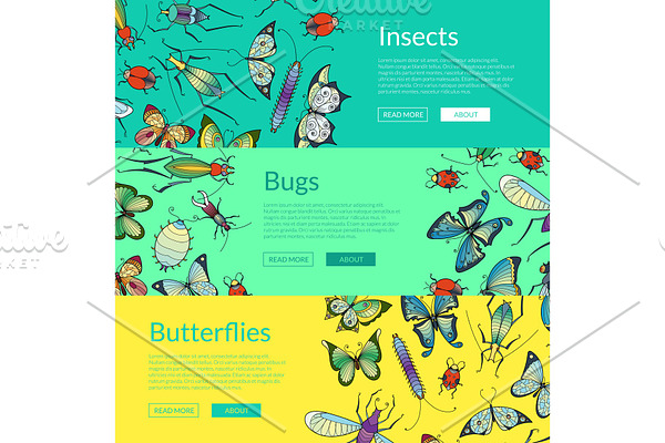 Vector hand drawn insects of set