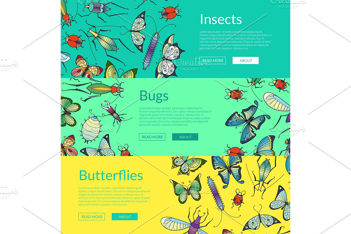 Vector hand drawn insects of set in Graphics - product preview 8