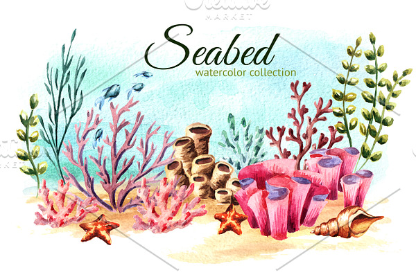 Seabed. Watercolor collection