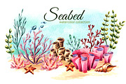 Seabed. Watercolor collection