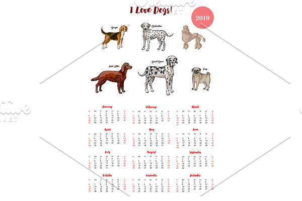 Dog calendar 2019