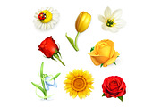 Summer flowers vector icons
