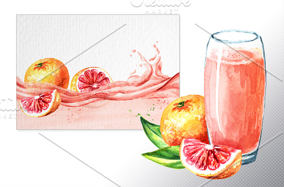 Grapefruit. Watercolor collection in Illustrations - product preview 2