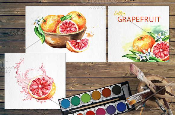 Grapefruit. Watercolor collection in Illustrations - product preview 3