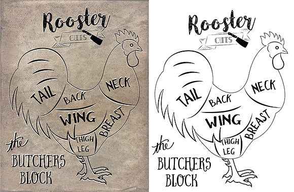Rooster Butcher Cuts Set 1 in Illustrations - product preview 5