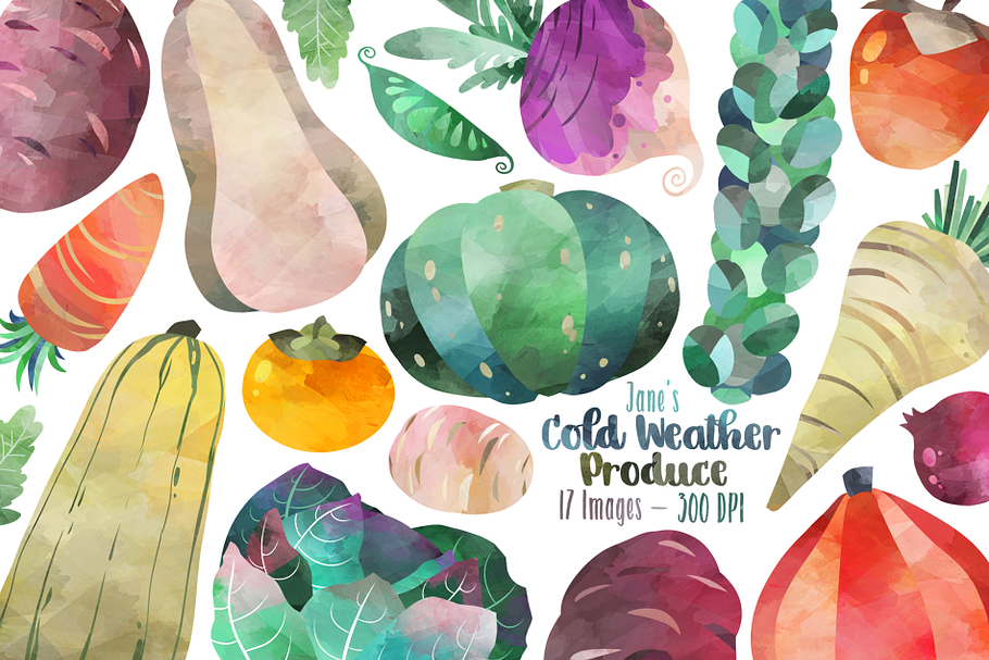 Watercolor Winter Veggie Clipart in Illustrations - product preview 8