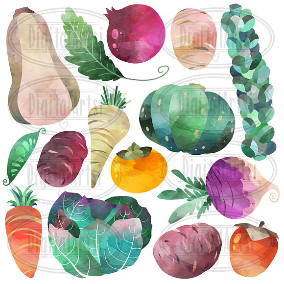 Watercolor Winter Veggie Clipart in Illustrations - product preview 1