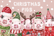 Christmas Watercolor Pigs 2019