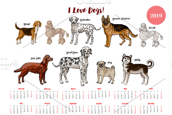 Dogs calendar 2019. Dogs breeds