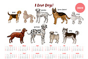 Dogs calendar 2019. Dogs breeds