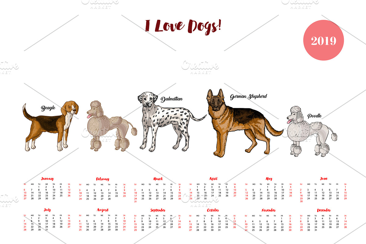 Dogs calendar 2019. Dogs breeds in Illustrations - product preview 8