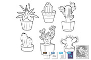 Cactuses and succulents in pots set