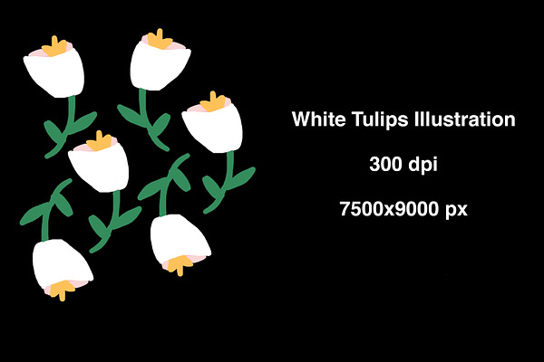 Handmade White Tulips Drawing