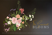 The Somerset Blooms - Clip Arts Set