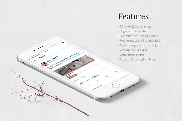 Blog Twitter Posts in Twitter Templates - product preview 2