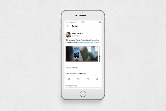 Blog Twitter Posts in Twitter Templates - product preview 5