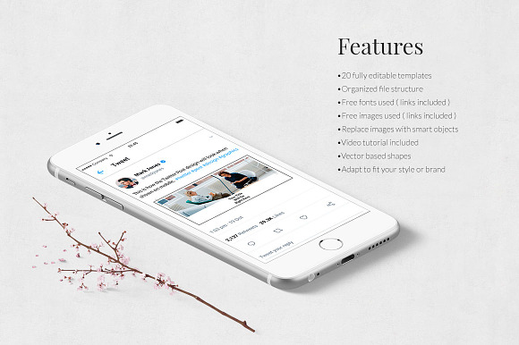 Lifestyle Twitter Posts in Twitter Templates - product preview 2