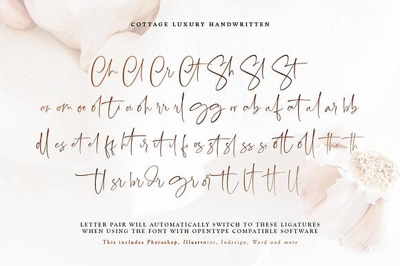 Cottage (Luxury Handwritten Font) in Script Fonts - product preview 9