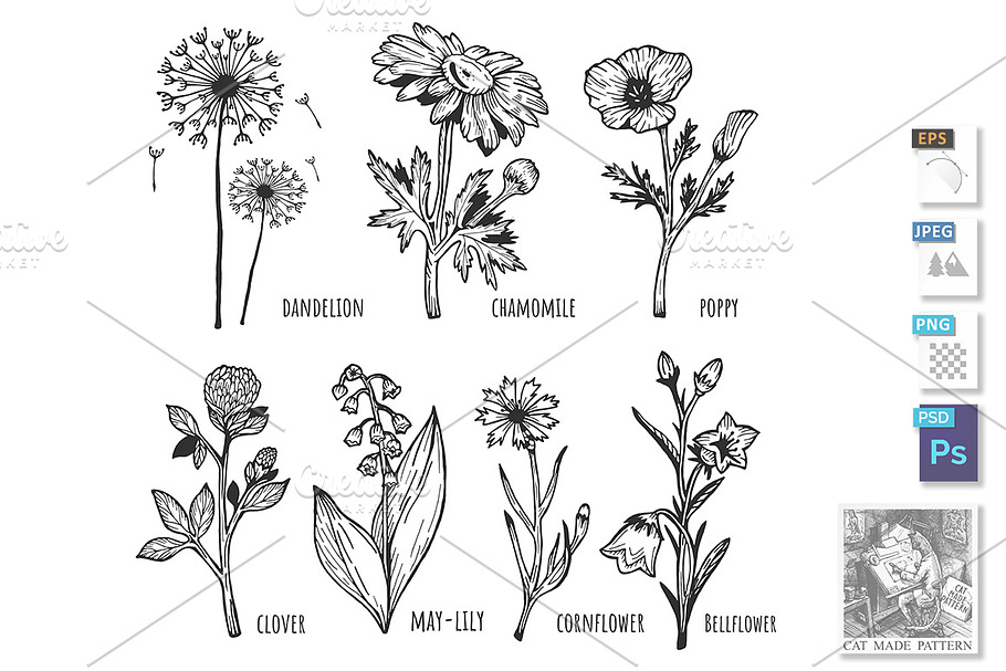 Different field spring flower set in Illustrations - product preview 8