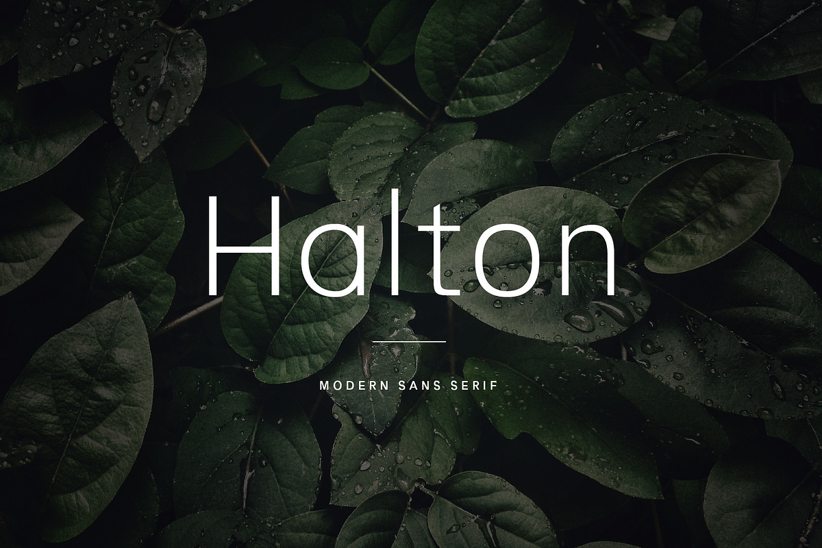 Halton - Modern Sans Serif Typeface in Sans-Serif Fonts - product preview 8