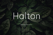 Halton - Modern Sans Serif Typeface