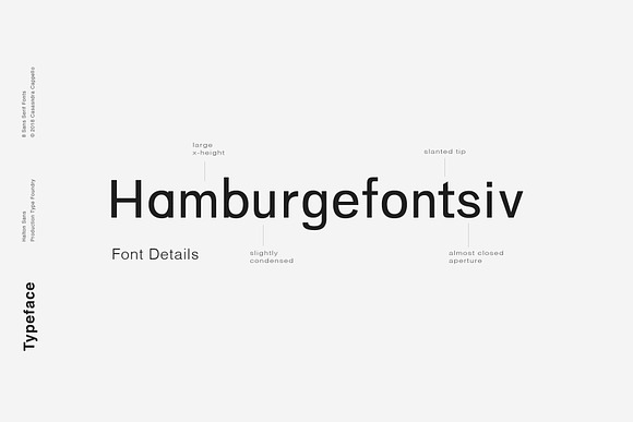 Halton - Modern Sans Serif Typeface in Sans-Serif Fonts - product preview 2