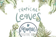 Tropical Leaves Clipart Watercolor