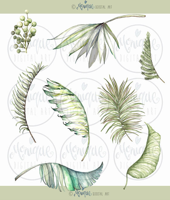 Tropical Leaves Clipart Watercolor in Illustrations - product preview 1