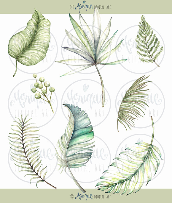 Tropical Leaves Clipart Watercolor in Illustrations - product preview 2