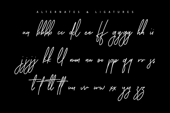 Ansterdam - Clean Signature Font in Script Fonts - product preview 9