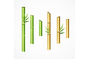  Green and Brown Bamboo Set. Vector