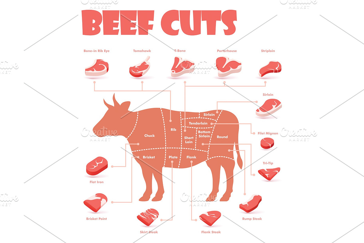 Vector beef cuts chart in Icons - product preview 8