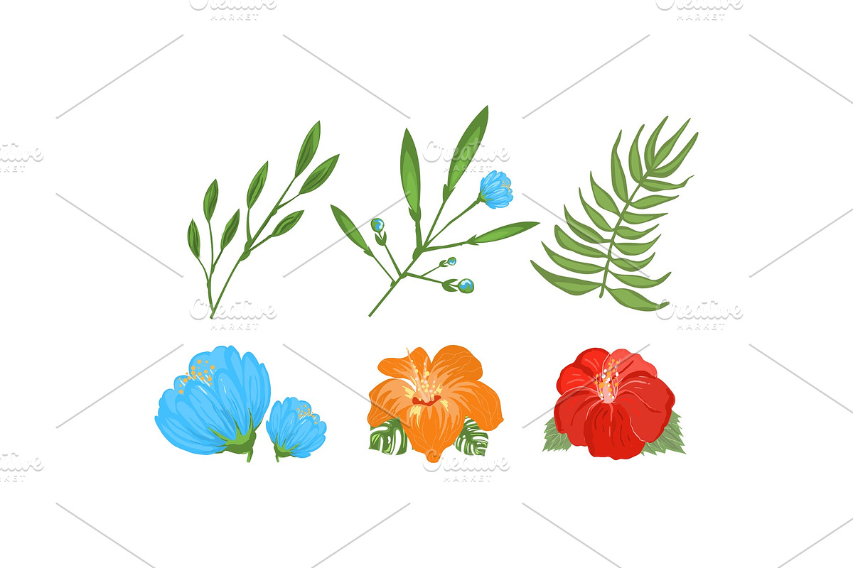 Tropical exotic leaves and flowers in Illustrations - product preview 8
