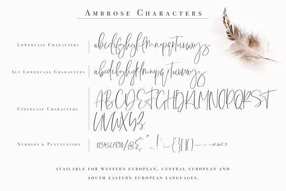Ambrose Font in Script Fonts - product preview 12