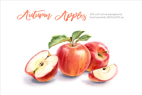 Autumn Red Apples. Watercolor