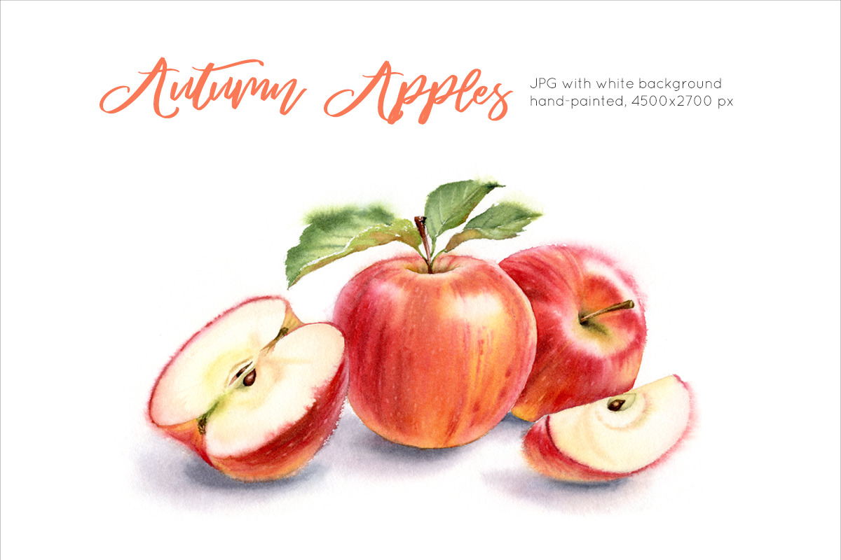 Autumn Red Apples. Watercolor in Graphics - product preview 8