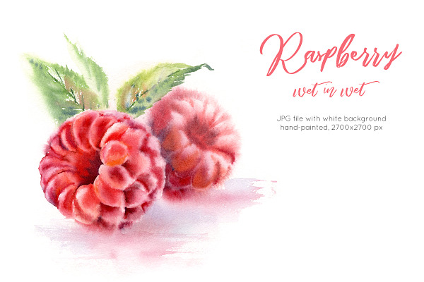 Raspberry. Watercolor painting