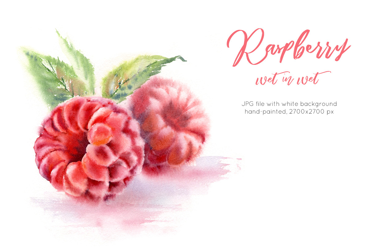 Raspberry. Watercolor painting in Graphics - product preview 8