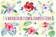 Handdrawn Tropic Hibiscus Watercolor