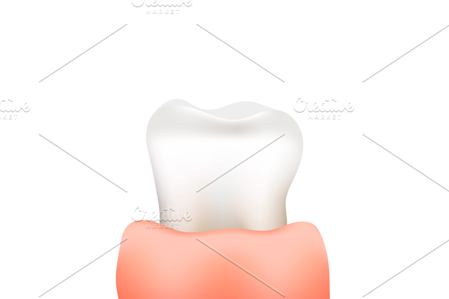 Bright realistic tooth in gum in Objects - product preview 8