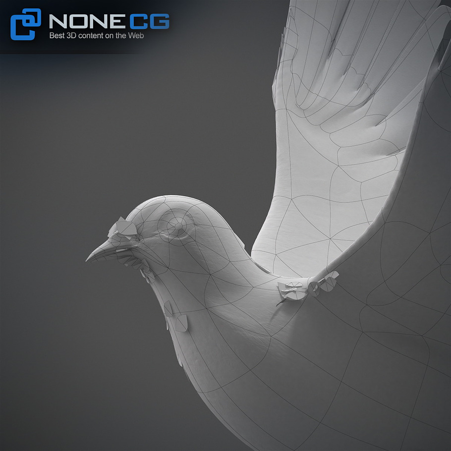 White Dove Animation in Animals - product preview 14