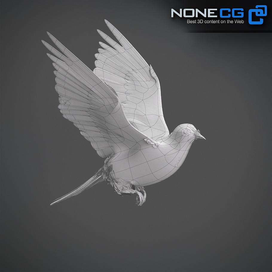 White Dove Animation in Animals - product preview 15