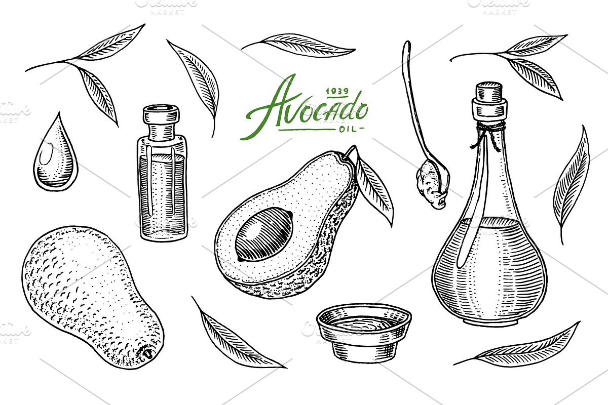 Tropical avocado. Set of in Illustrations - product preview 8