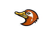 Laysan Duck Head Mascot