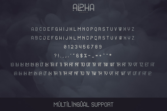 Alpha Display Font - 4 styles in Display Fonts - product preview 8