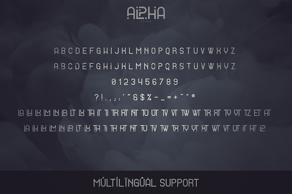 Alpha Display Font - 4 styles in Display Fonts - product preview 10