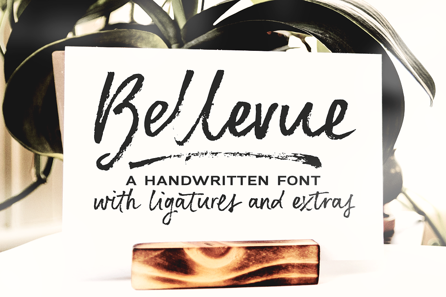 86% OFF! Font Collection Vol. 2 in Display Fonts - product preview 8