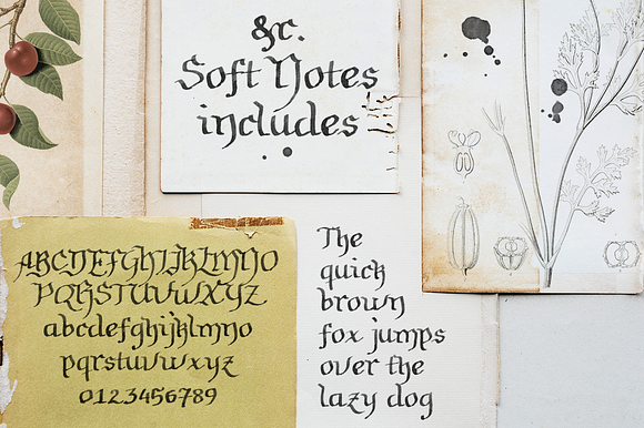 86% OFF! Font Collection Vol. 2 in Display Fonts - product preview 31