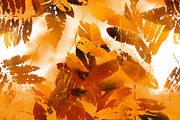 fallen leaves pattern | JPEG