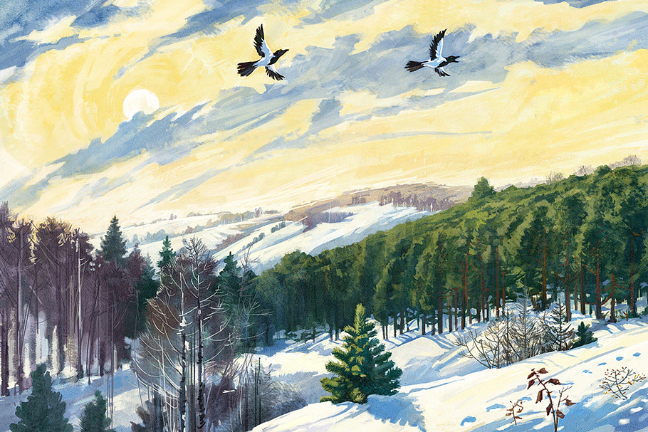 Winter landscape and two magpies